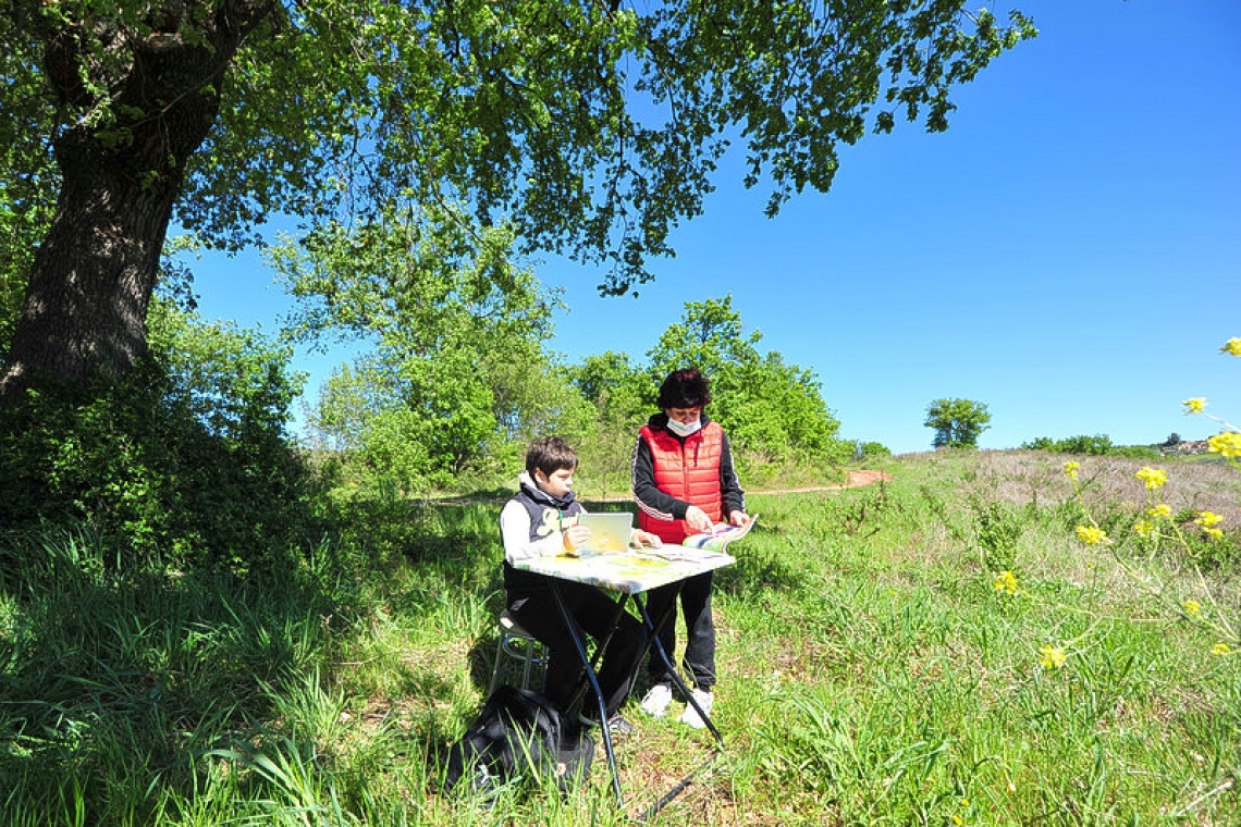 Boy travels a mile for internet signal to study under the tree